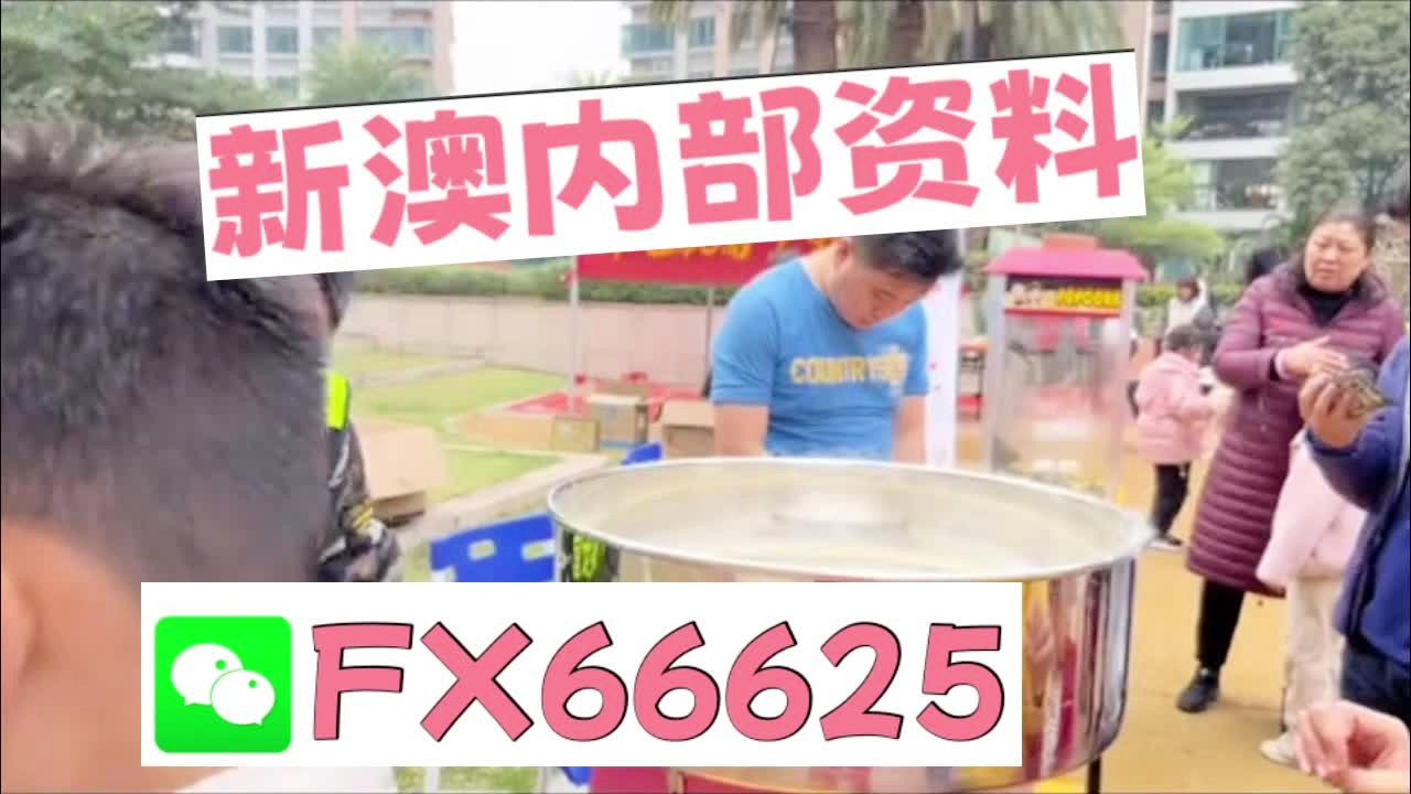 新澳天天彩資料大全最新版本陽(yáng)肖，探索與策略，新澳天天彩資料大全最新版本陽(yáng)肖，探索與策略揭秘