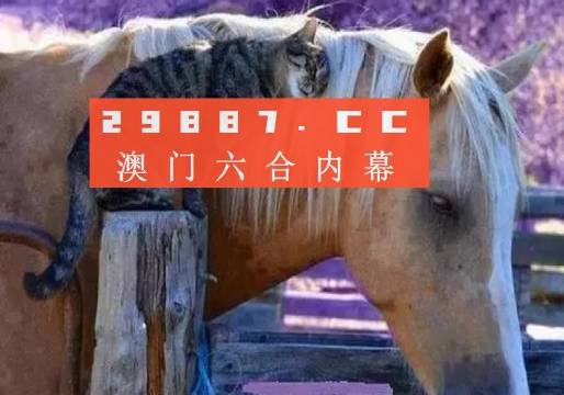 澳門一肖一碼一待一中四不像，探索與解析，澳門一肖一碼一待一中四不像，深度解析與探索