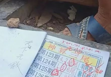 香港中特期期準(zhǔn)資料，深度解析與探索，香港中特期期準(zhǔn)資料深度解析與探索報(bào)告