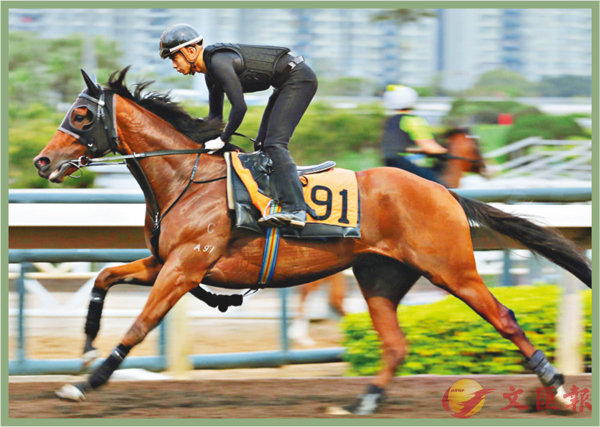 香港賽馬，探索數(shù)字背后的激情與榮耀，香港賽馬，數(shù)字背后的激情與榮耀之旅