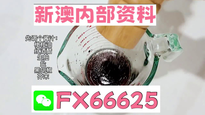 2025年新澳正版免費料，全面解析與獨家資訊，獨家解析，揭秘新澳正版免費料獨家資訊至2025年