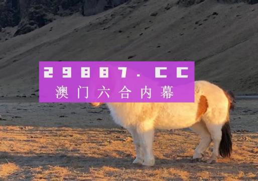 澳門天天彩資料正版免費(fèi)特色快8，探索彩票世界的魅力與機(jī)遇，澳門天天彩正版特色快8，彩票世界的魅力與機(jī)遇探索