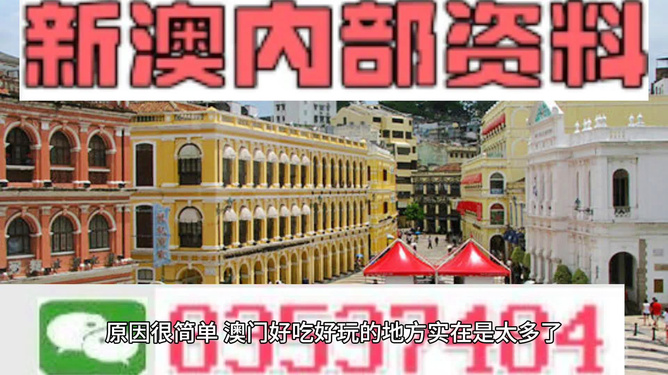 澳門精準資料大全免費，探索與解析，澳門精準資料大全免費解析探索