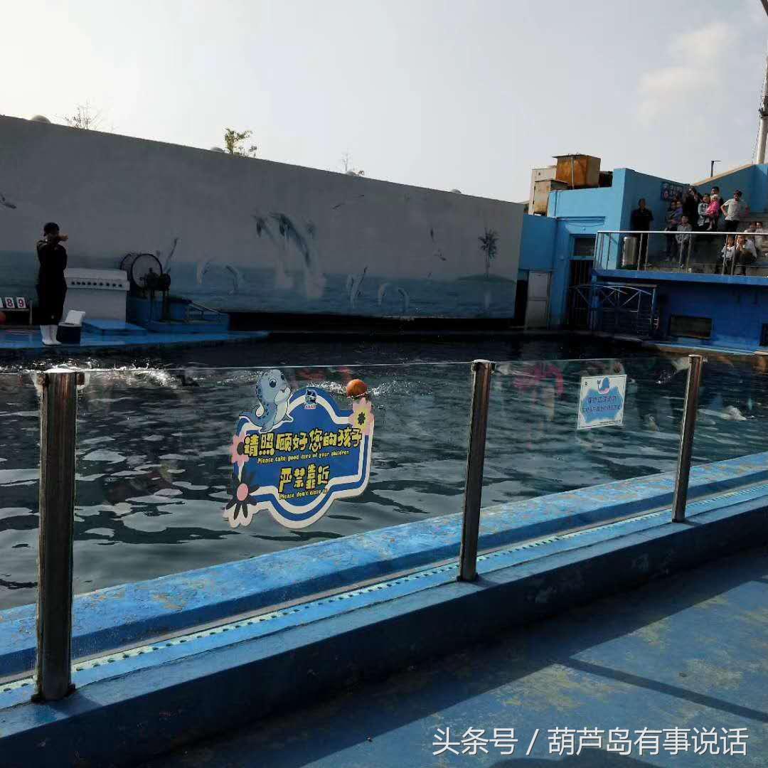 揭秘9點30分彩新澳，全方位解讀彩票新玩法，揭秘9點30分彩新澳，全方位解讀彩票新玩法攻略