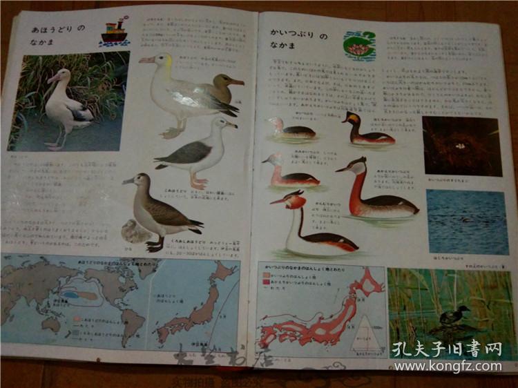 今日正版跑狗圖分享，探索7777788888跑狗圖的魅力，今日正版跑狗圖分享，探索魅力十足的777778跑狗圖