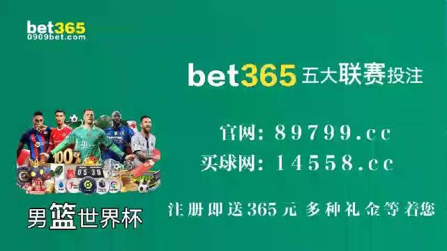 王中王中特馬王中王精準(zhǔn)資料解析與SEO優(yōu)化策略探討，王中王中特馬精準(zhǔn)資料解析與SEO策略探討