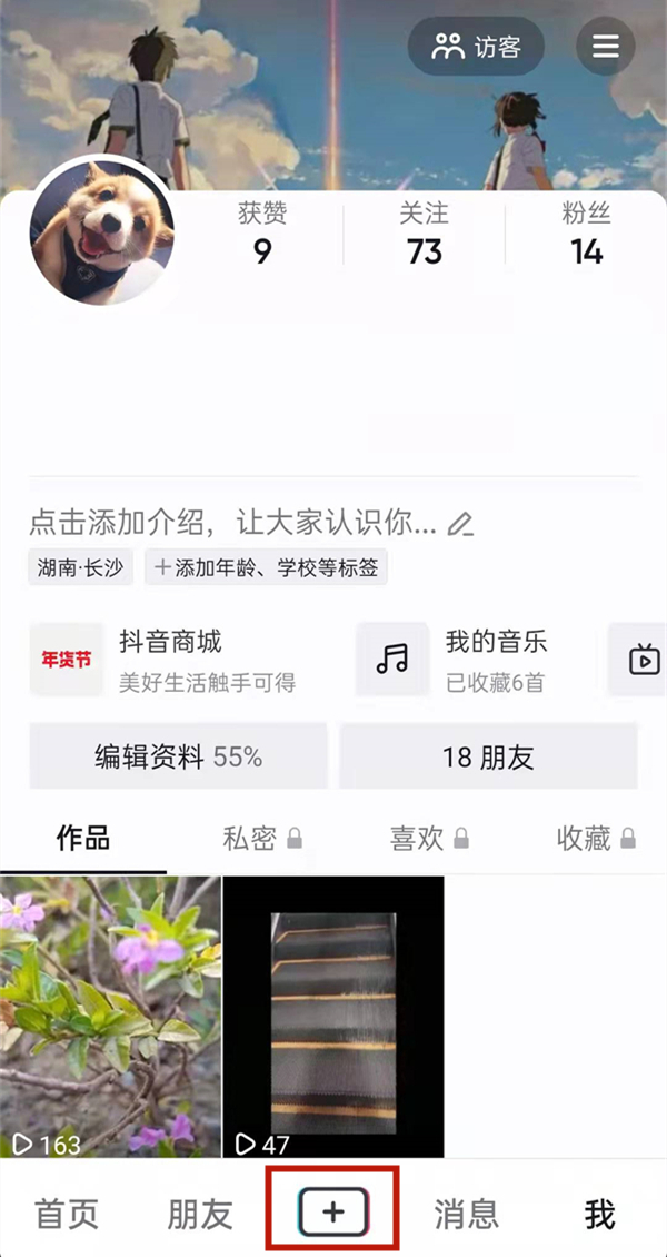 白小姐的精準免費四肖，揭秘背后的秘密，揭秘白小姐精準免費四肖背后的秘密