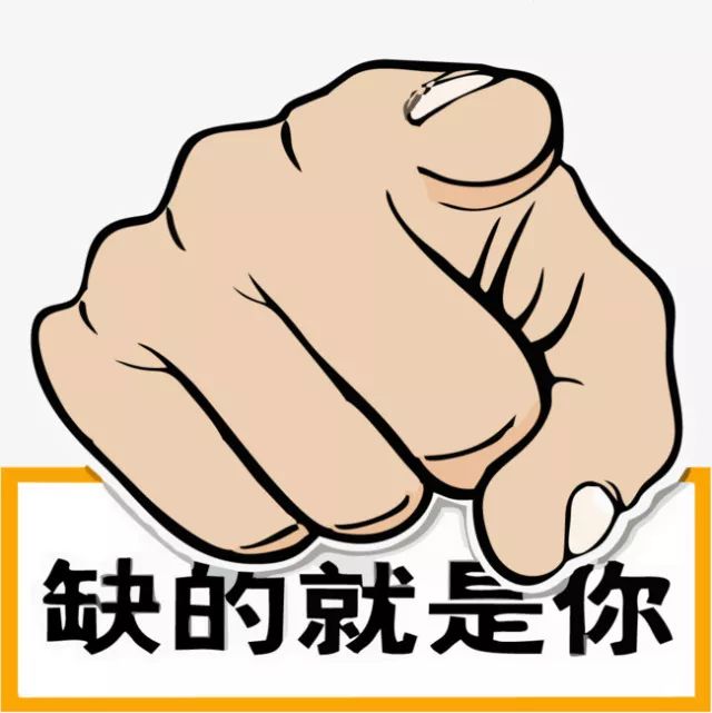 鐵算盤(pán)，全網(wǎng)矚目，傾力打造引領(lǐng)潮流的火熱品牌！，鐵算盤(pán)引領(lǐng)潮流，全網(wǎng)矚目成火熱品牌！