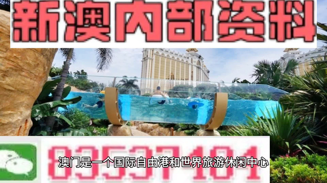 新澳的資料去哪里找——全面指南，新澳資料全攻略，尋找資料的途徑與指南