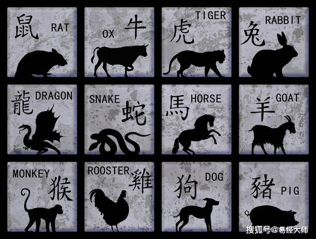 新澳特碼，羊?；⒏鲾?shù)10的獨(dú)特魅力與解析，新澳特碼，羊牛虎各數(shù)10的獨(dú)特魅力深度解析