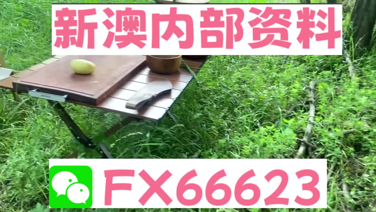 新奧特碼走勢圖解析與預(yù)測，新奧特碼走勢圖解析與預(yù)測，未來趨勢探討