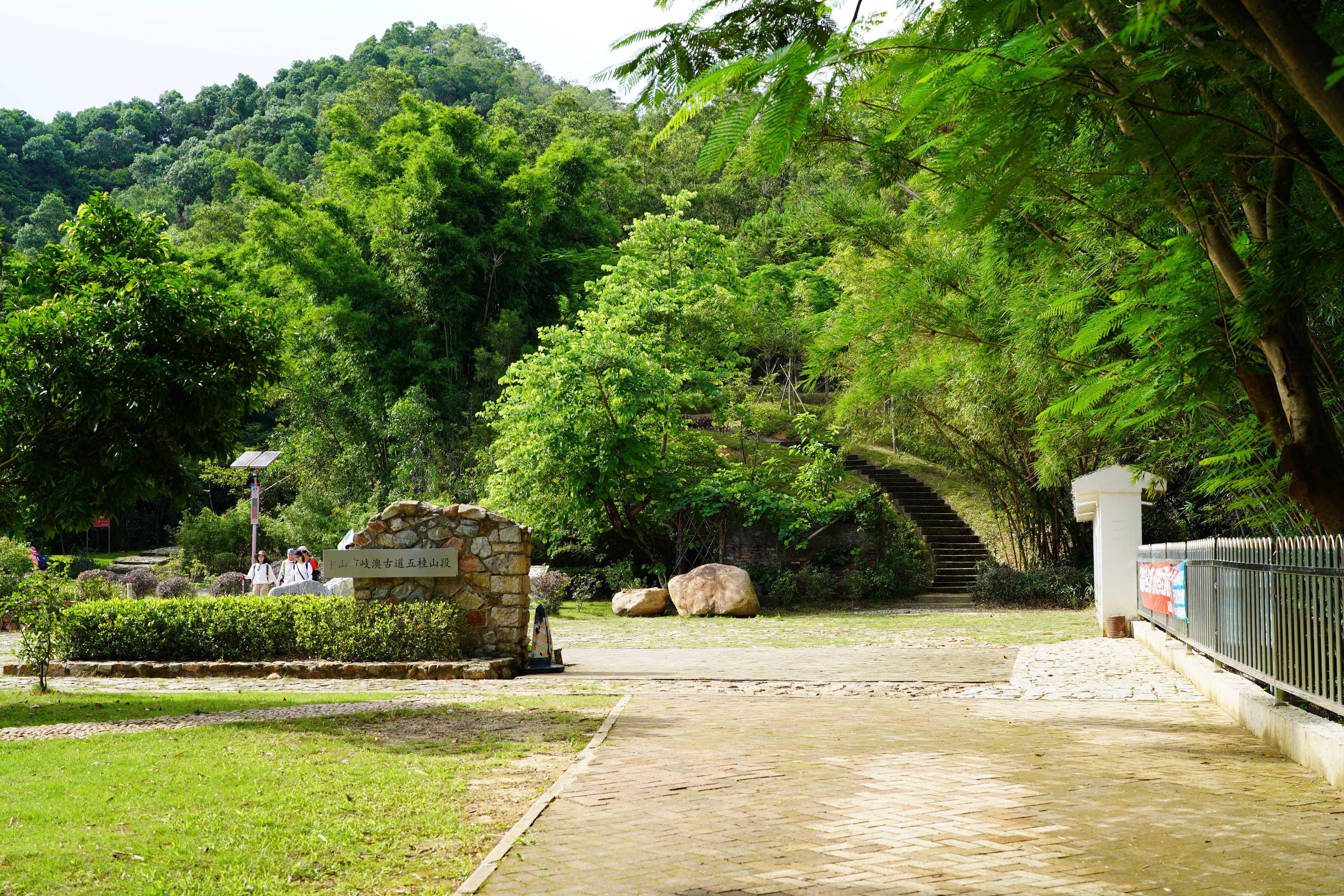 新澳門波色走勢(shì)圖表大全，深度解析與預(yù)測(cè)，澳門波色走勢(shì)圖表解析與預(yù)測(cè)大全