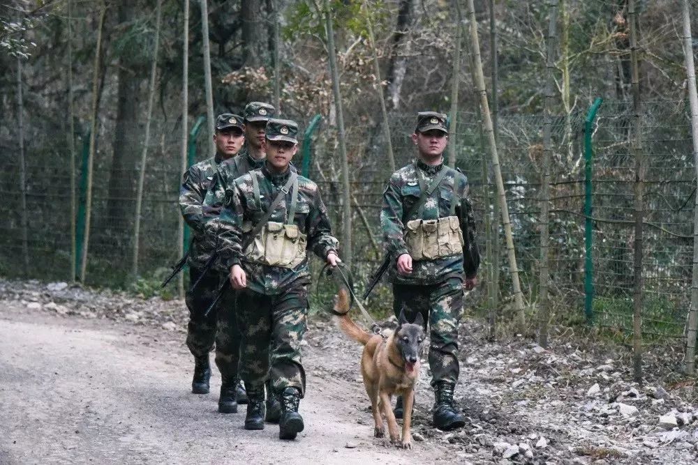 火箭軍是否都在大山之中？解析火箭軍的駐扎環(huán)境與任務特點，火箭軍的駐扎環(huán)境與任務特點解析，大山之中還是多元布局？
