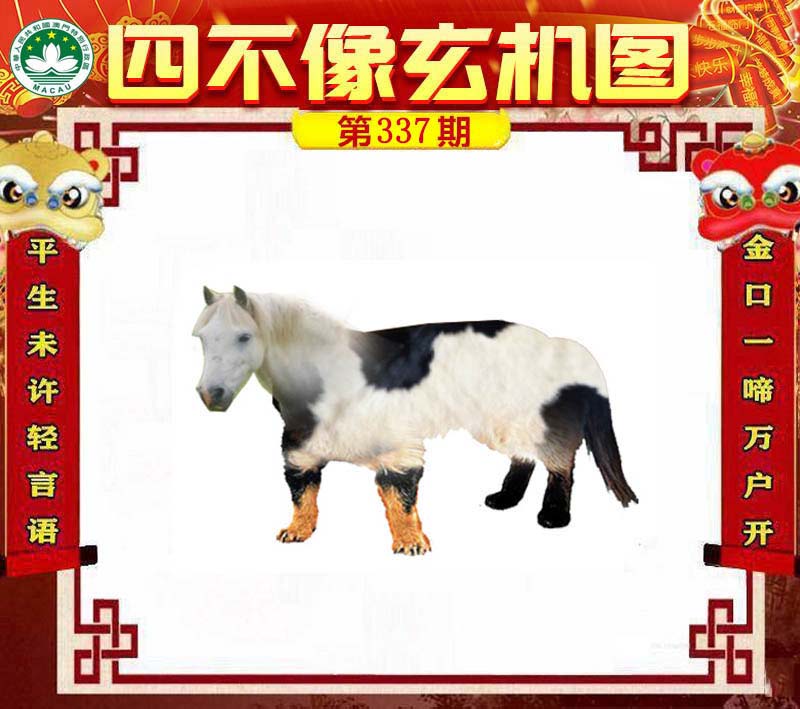 王中王四不像肖一肖中特，探索神秘現(xiàn)象背后的真相，神秘現(xiàn)象背后的真相探索，王中王四不像肖一肖中特揭秘
