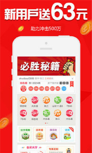 揭秘王中王015與生肖的神奇關聯(lián)，一生一肖的獨特解讀，揭秘王中王015與生肖的神秘紐帶，一生一肖的獨特解讀