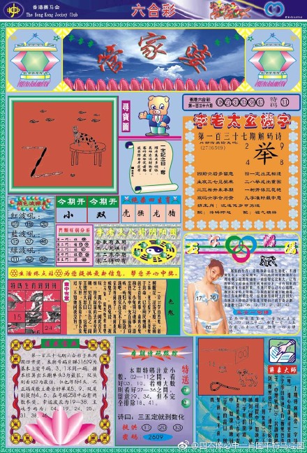 王中王四不像必出一肖圖——揭秘彩票背后的秘密，揭秘彩票背后的秘密，王中王四不像必出一肖圖的真相探索