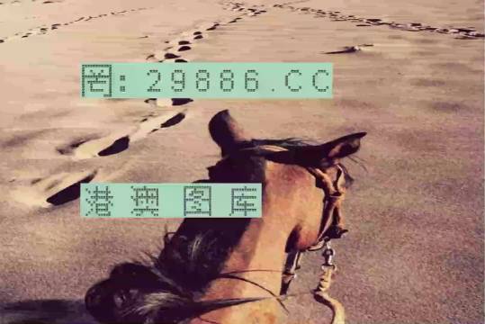 香港特馬資料王中王24期，深度解析與探索，香港特馬資料王中王深度解析與探索，第24期探索之旅