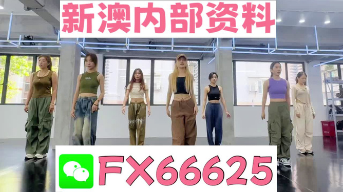 新澳一肖，探索與解析，新澳一肖，深度探索與解析
