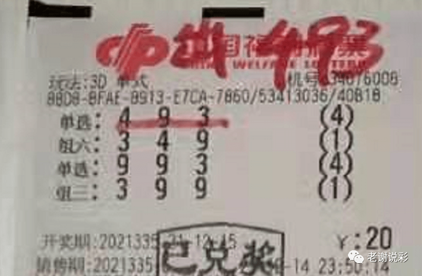 新奧門彩天天開獎資料一網羅萬象，揭秘彩票奧秘，揭秘彩票奧秘，新奧門彩天天開獎資料一網羅萬象