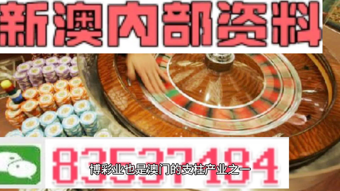 新澳正版資料免費(fèi)提供，全面解析與深度探索，新澳正版資料全面解析與深度探索，免費(fèi)提供的指南