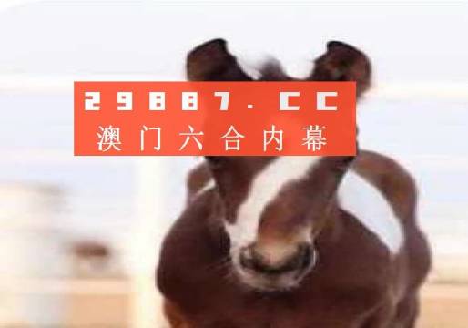 澳門今晚必開一肖一碼，探索生肖與彩票的奧秘，澳門生肖彩票奧秘探索，今晚必開一肖一碼