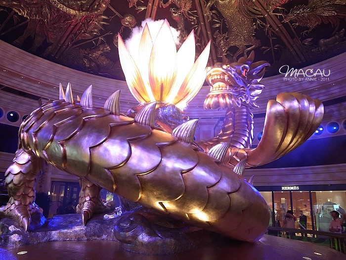 澳門(mén)無(wú)錯(cuò)七尾，探索與解析，澳門(mén)無(wú)錯(cuò)七尾，深度探索與解析