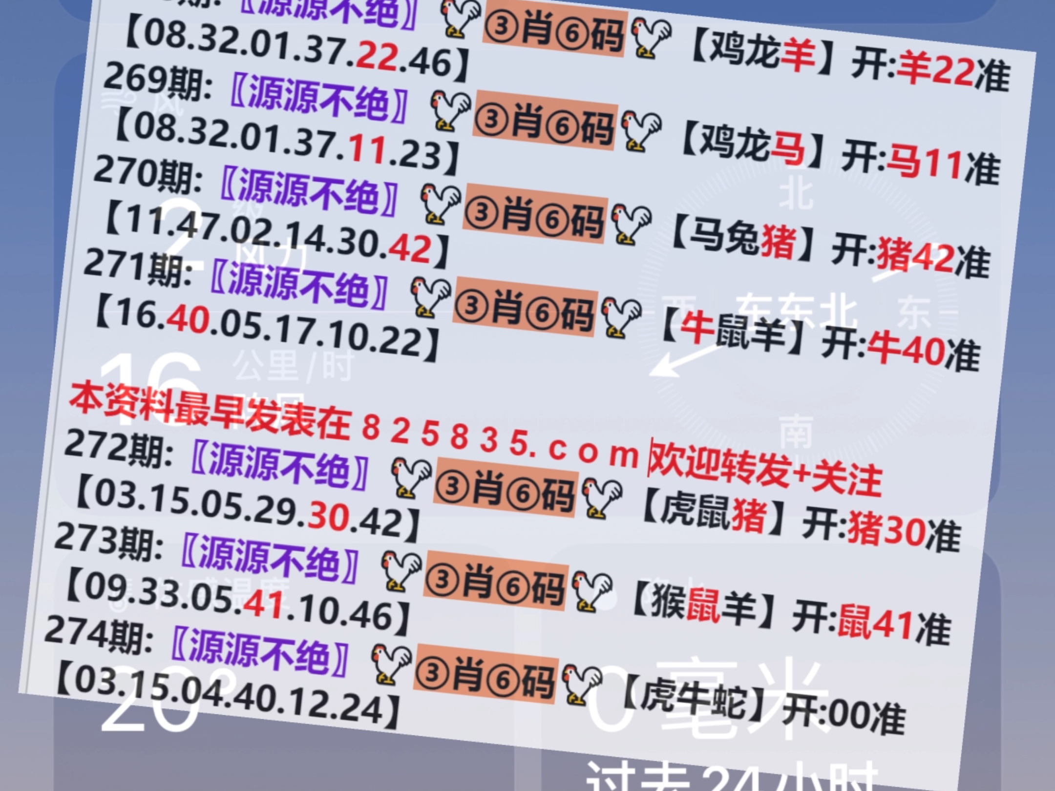 澳門一肖一碼開獎結(jié)果，揭秘彩票背后的秘密，澳門彩票開獎結(jié)果揭秘，一肖一碼背后的秘密