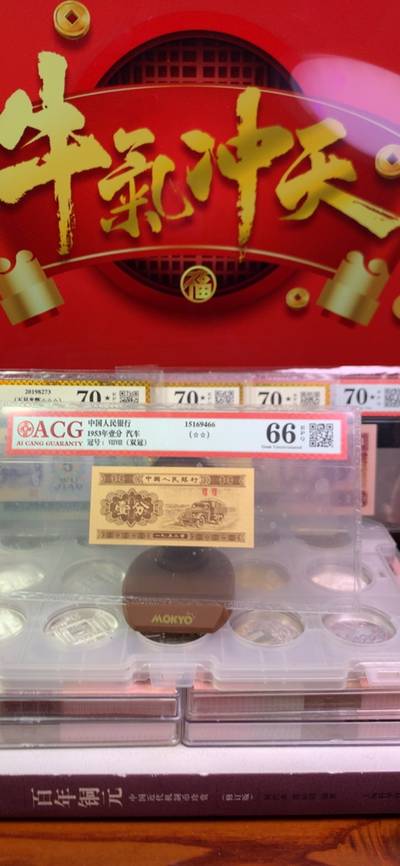 王中王廣東一肖，探尋背后的故事與奧秘，王中王廣東一肖，背后的故事與奧秘探尋