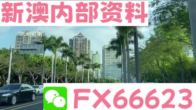 新澳精準(zhǔn)資料免費提供，探索第221期的奧秘與價值，新澳精準(zhǔn)資料揭秘第221期奧秘與價值