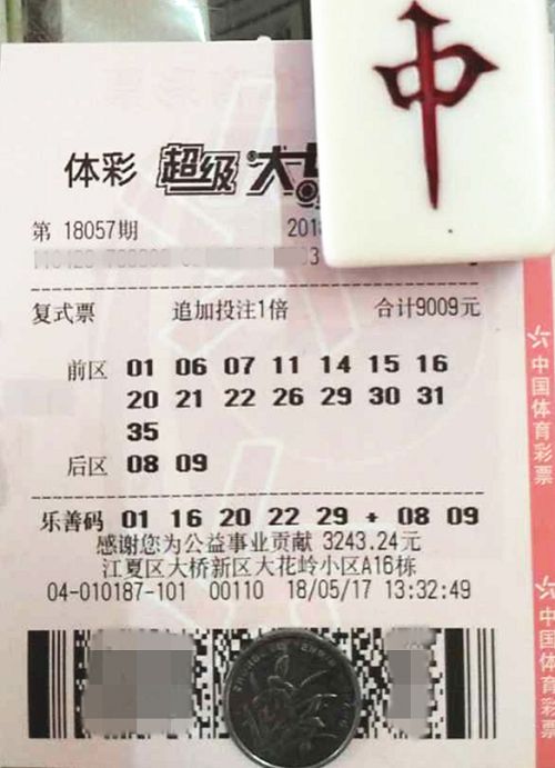 澳門六開彩天天開獎結果查詢，輕松掌握最新動態(tài)，澳門六開彩最新開獎結果查詢，輕松掌握每日動態(tài)