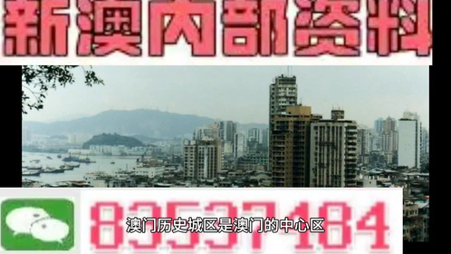 澳門全年最全免費資料大全，探索無盡的資源寶庫，澳門全年免費資料寶庫，探索無盡資源之旅