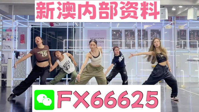 王中王內(nèi)部透肖一肖二碼，深度解析與探索，王中王內(nèi)部透肖一肖二碼深度解析與探索揭秘