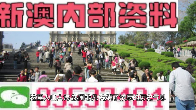 澳門最精準免費資料大全旅游團，探索澳門之旅的完美選擇，澳門最精準免費資料大全旅游團，探索澳門之旅的不二之選