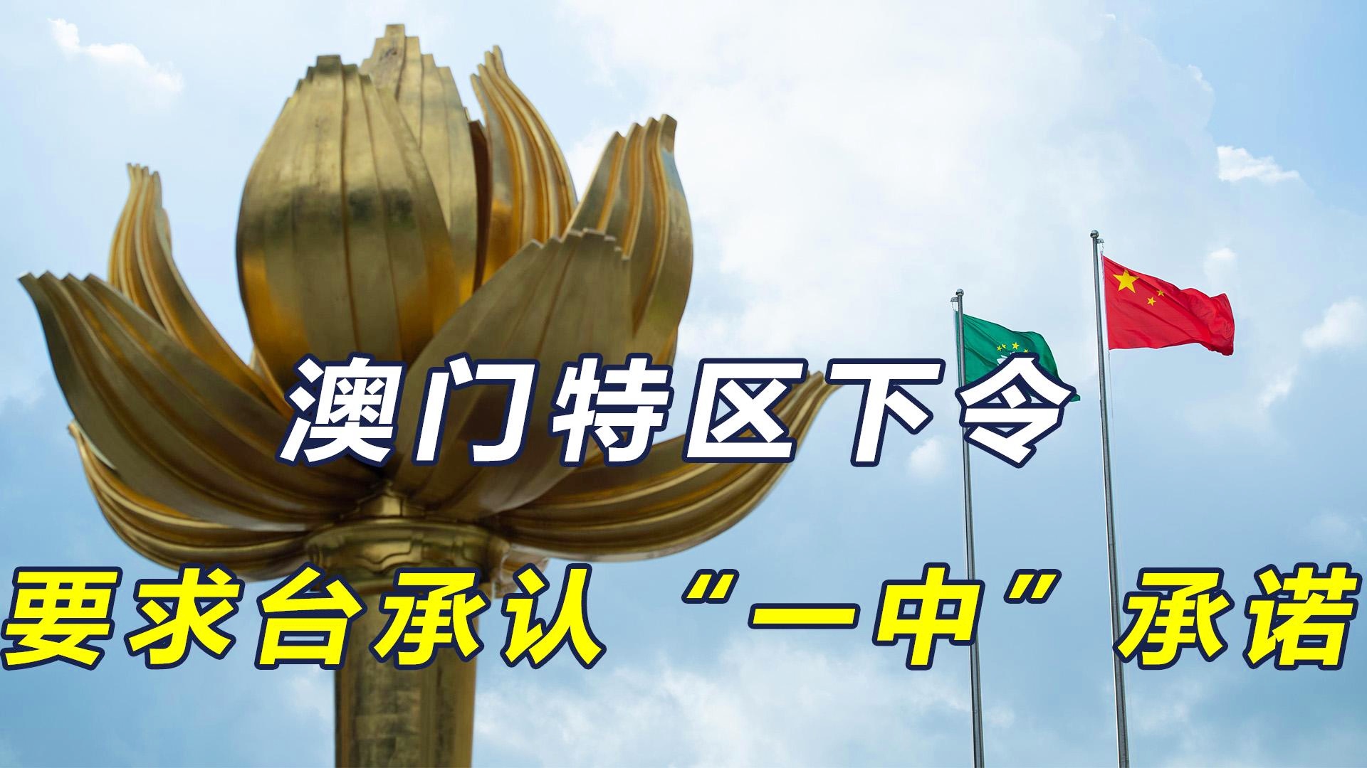 澳門一碼一肖一特一中今晚預(yù)測(cè)與探索，澳門今晚一碼一肖一特一中預(yù)測(cè)與揭秘