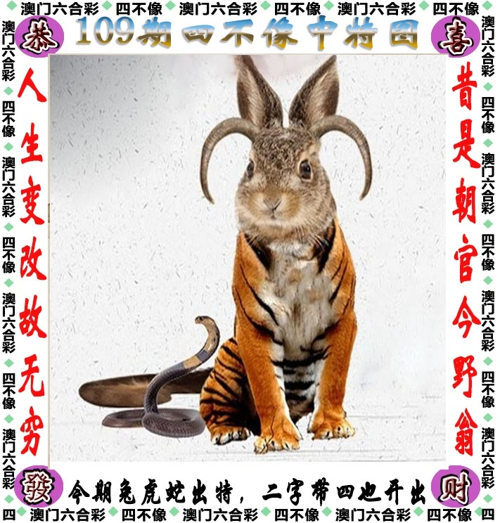 四不像王中王資料一肖，深度解析與探索，四不像王中王資料一肖，深度解析與探索揭秘