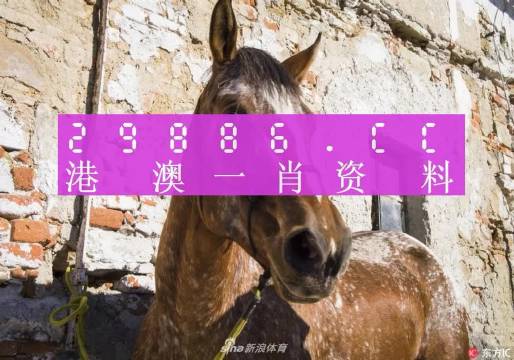 王中王資料一門肖中，深度解析與探索，王中王資料一門肖詳解，深度解析與探索