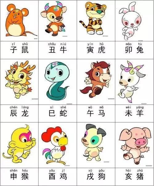 一肖有哪幾個(gè)生肖，生肖一肖包含哪些生肖