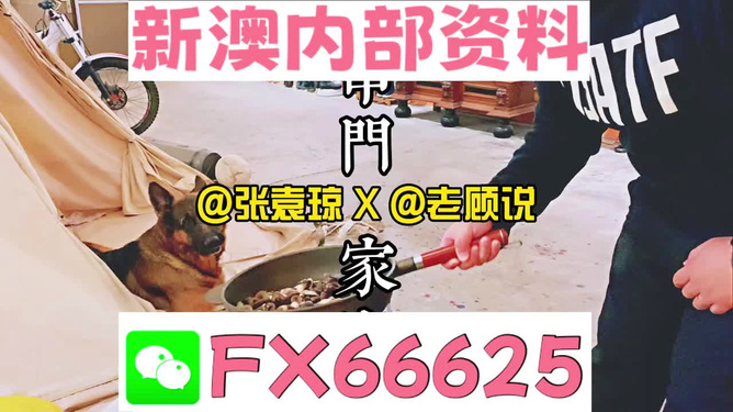 新澳門精準(zhǔn)資料大全，管家婆料解析與探索，澳門精準(zhǔn)資料大全，管家婆料解析與深度探索