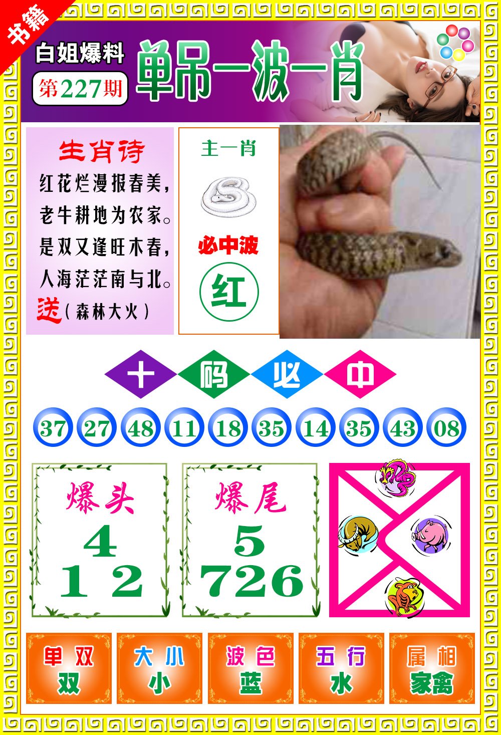 王中王免費一肖開獎，揭秘彩票背后的秘密，揭秘彩票背后的秘密，王中王免費一肖開獎探秘