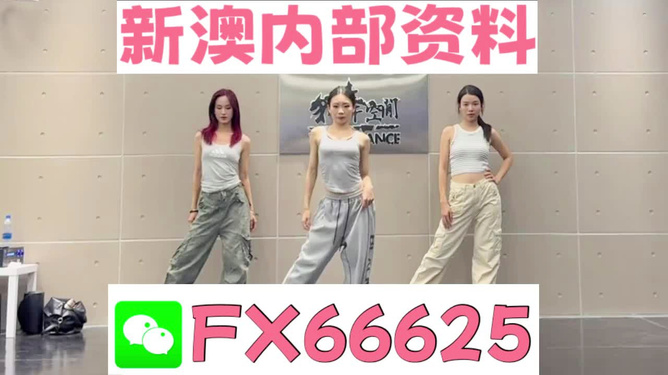 揭秘管家婆一碼中一肖的神秘預(yù)測，探尋未來之門 2025展望，揭秘未來之門，管家婆一碼中一肖的神秘預(yù)測 2025展望