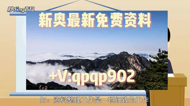 新奧49正版資料，全面解析與SEO優(yōu)化策略，新奧49正版資料詳解與SEO優(yōu)化策略探討
