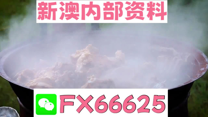 新澳全年免費(fèi)資料大全，一站式獲取優(yōu)質(zhì)資源指南，新澳全年優(yōu)質(zhì)資源免費(fèi)獲取指南