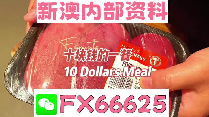揭秘2025新奧精準(zhǔn)正版資料，全方位解讀與SEO優(yōu)化策略，揭秘2025新奧精準(zhǔn)正版資料，全方位解讀與SEO策略優(yōu)化指南