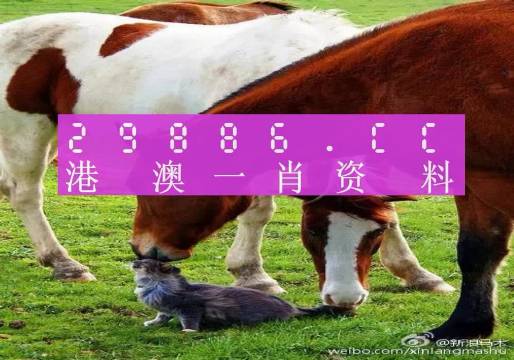 新奧門一肖一碼，揭秘精準(zhǔn)預(yù)測(cè)的秘密，揭秘新澳門一肖一碼精準(zhǔn)預(yù)測(cè)的秘密