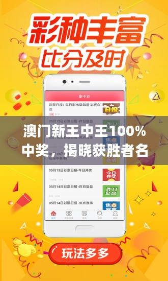 新澳門(mén)王中王游戲，揭秘期期中秘密，助你贏大獎(jiǎng)！，揭秘新澳門(mén)王中王游戲期期中策略，贏大獎(jiǎng)秘訣揭曉！