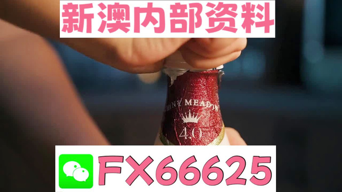 新澳門一碼一碼，揭秘精準預測的秘密與真相，揭秘澳門一碼一碼精準預測的秘密與真相