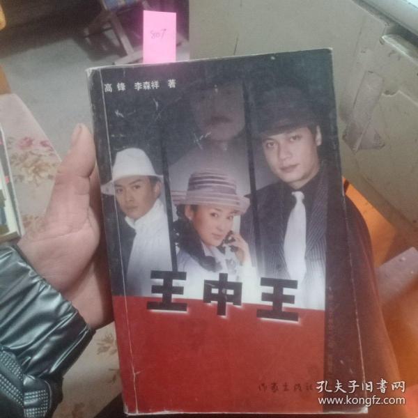 王中王資料一肖中天，深度解析與探索，王中王資料一肖中天，深度剖析與探索