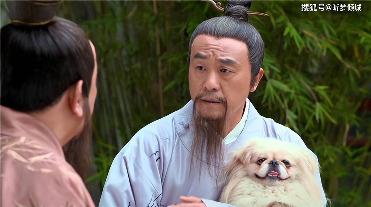 揭秘劉伯溫四不象一肖的神秘面紗——探尋背后的傳奇故事，揭秘劉伯溫四不象一肖背后的傳奇故事，神秘面紗下的神秘傳說