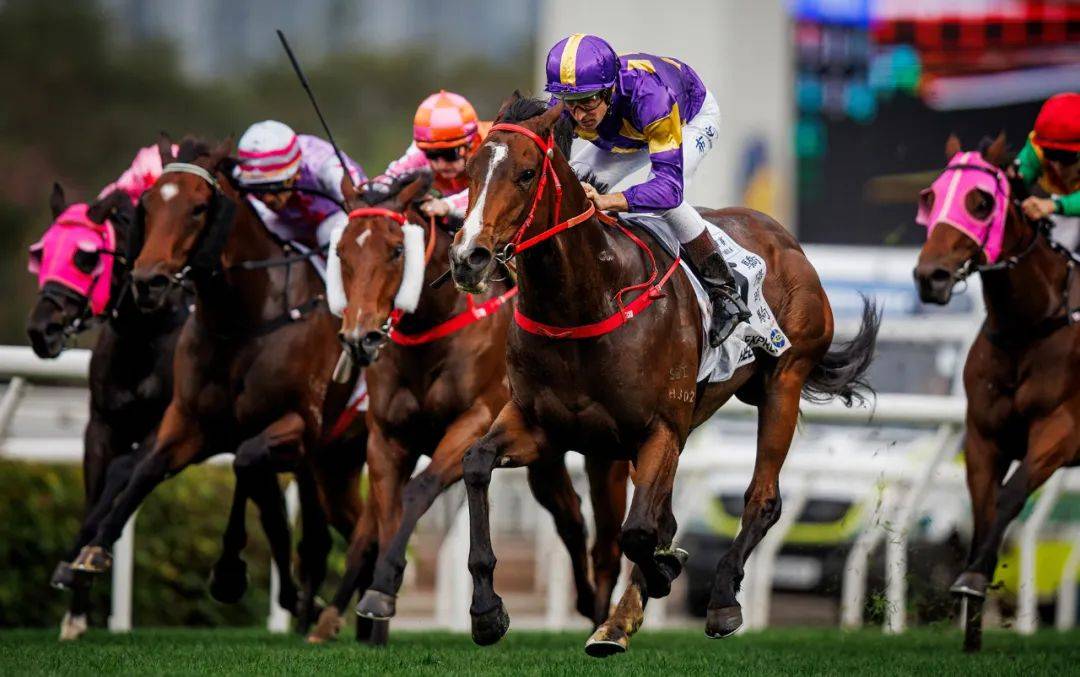 香港賽馬，探索賽馬運(yùn)動的激情與榮耀之地——7777788888的獨(dú)特魅力，香港賽馬，激情與榮耀的獨(dú)特魅力探索——777778賽馬運(yùn)動之地