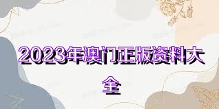 澳門資料大全正版資料查詢，探索澳門的文化與歷史深度之旅，澳門文化與歷史深度探索，正版資料大全及查詢指南